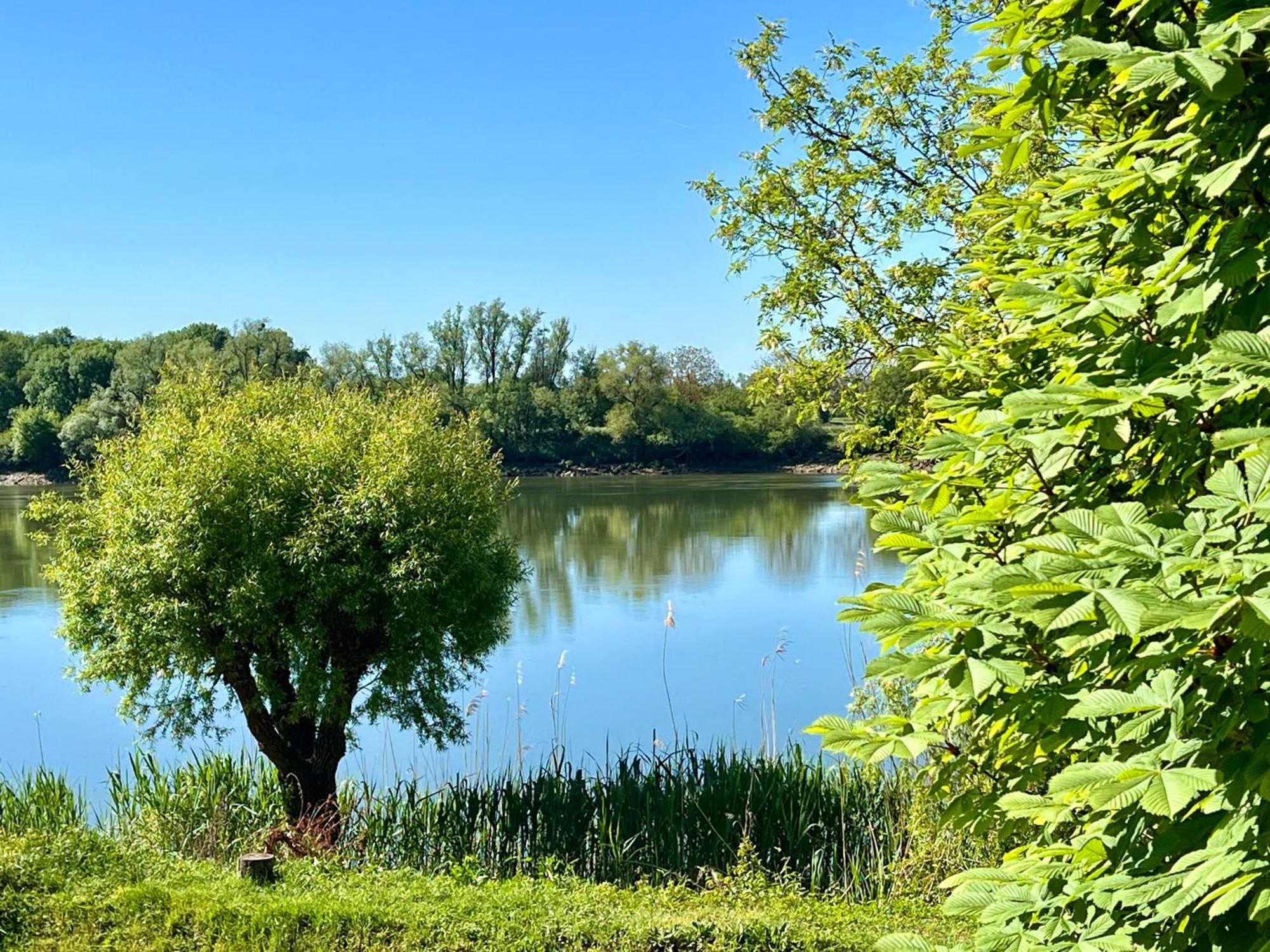 La Villa Du Fleuve Quinsac  Ngoại thất bức ảnh